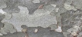Enlarge photo 320