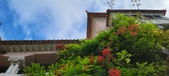 Enlarge photo 119