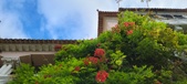 Enlarge photo 118
