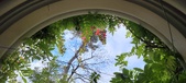 Enlarge photo 113