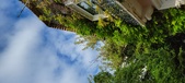 Enlarge photo 111