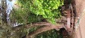 Enlarge photo 109