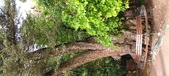 Enlarge photo 108