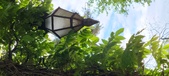 Enlarge photo 107