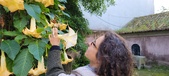 Enlarge photo 93