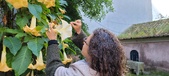 Enlarge photo 91