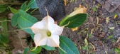 Enlarge photo 86