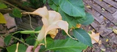 Enlarge photo 82