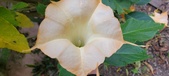 Enlarge photo 80