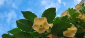 Enlarge photo 77