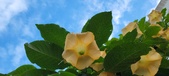 Enlarge photo 76