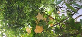 Enlarge photo 69