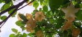 Enlarge photo 54
