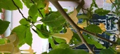 Enlarge photo 65