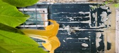 Enlarge photo 64