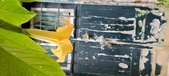Enlarge photo 51