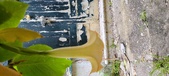 Enlarge photo 47