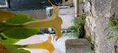 Enlarge photo 45