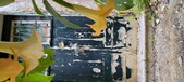 Enlarge photo 42