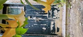 Enlarge photo 41