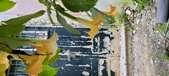 Enlarge photo 40