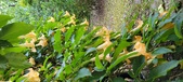Enlarge photo 38