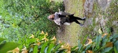 Enlarge photo 34