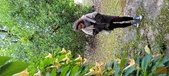 Enlarge photo 33