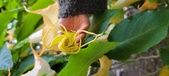 Enlarge photo 28
