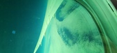 Enlarge photo 53