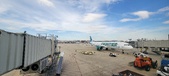 Enlarge photo 190