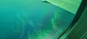 Enlarge photo 89