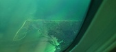 Enlarge photo 111