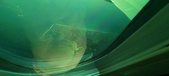 Enlarge photo 112