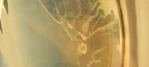Enlarge photo 122