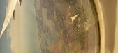Enlarge photo 121