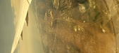 Enlarge photo 129