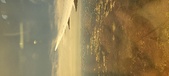 Enlarge photo 137