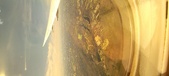 Enlarge photo 148
