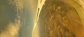 Enlarge photo 152