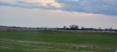 Enlarge photo 224
