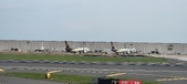 Enlarge photo 237