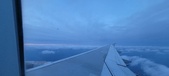 Enlarge photo 276