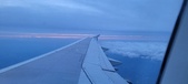 Enlarge photo 294