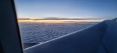 Enlarge photo 314