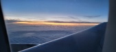 Enlarge photo 337