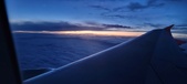 Enlarge photo 355