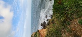 Enlarge photo 72
