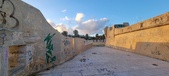 Enlarge photo 64