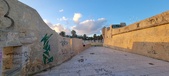 Enlarge photo 62